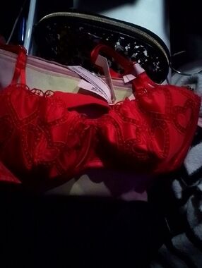 Victoria Secret Red Underwire Bra with Heart Embroidery